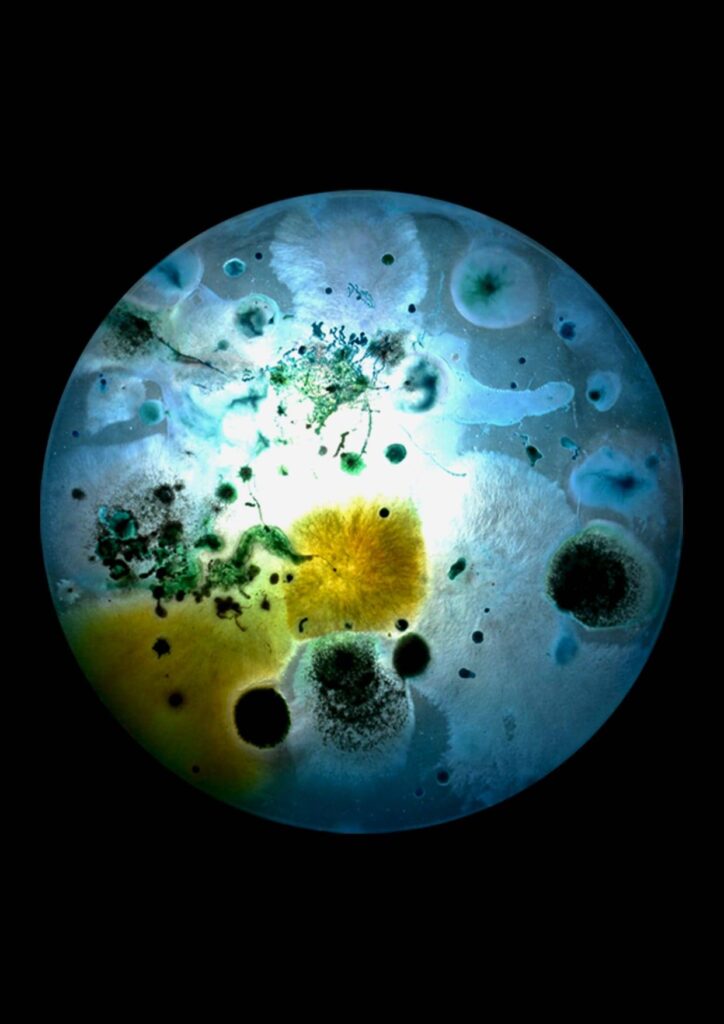 Flourish and Fungi I by Lianne Regtuit Microbial print 1 Flourish and Fungi I by Lianne Regtuit Microbial print 1