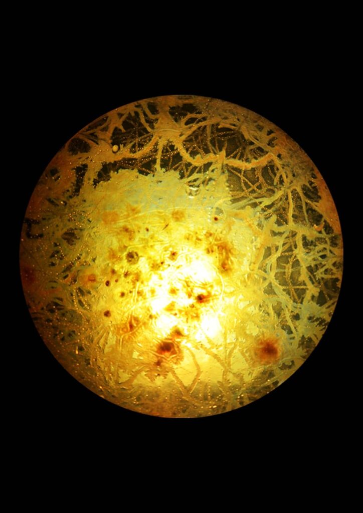 Flourish and Fungi I by Lianne Regtuit Microbial print 2 Flourish and Fungi I by Lianne Regtuit Microbial print 2