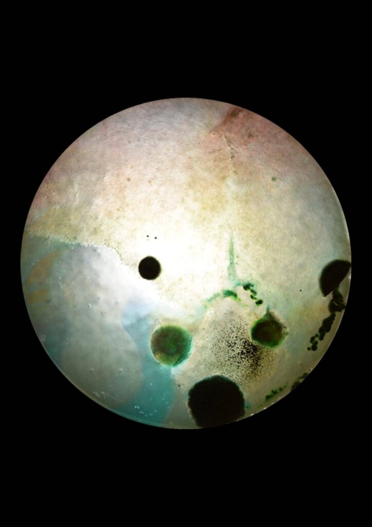 Flourish and Fungi I by Lianne Regtuit Microbial print 4 Flourish and Fungi I by Lianne Regtuit Microbial print 4