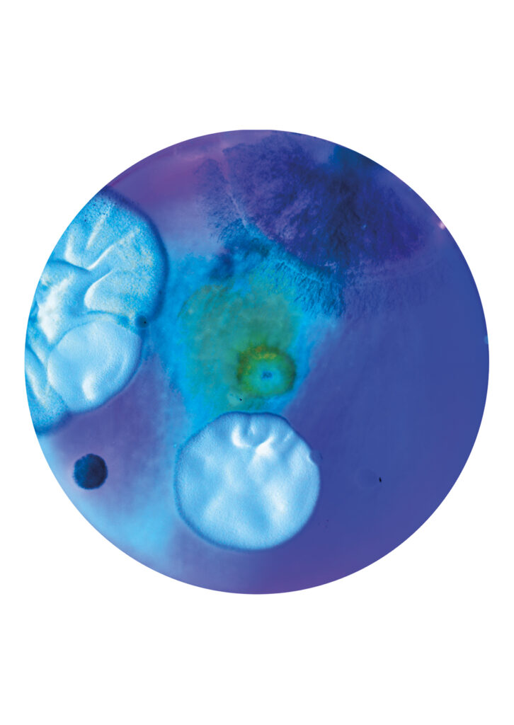 Flourish and Fungi III Inverted by Lianne Regtuit Microbial print 2 Flourish and Fungi III Inverted by Lianne Regtuit Microbial print 2