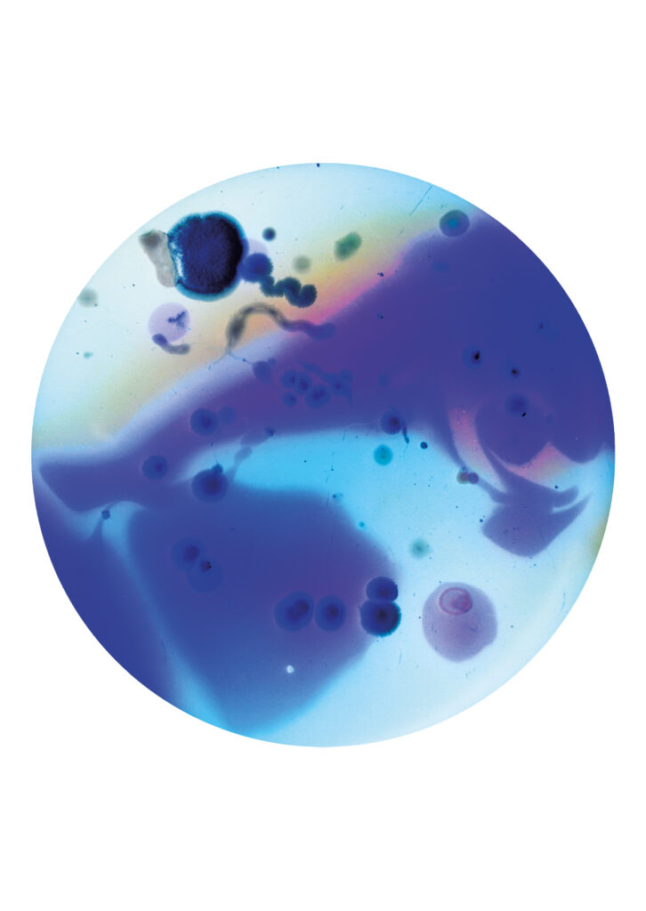 Flourish and Fungi III Inverted by Lianne Regtuit Microbial print 4 Flourish and Fungi III Inverted by Lianne Regtuit Microbial print 4