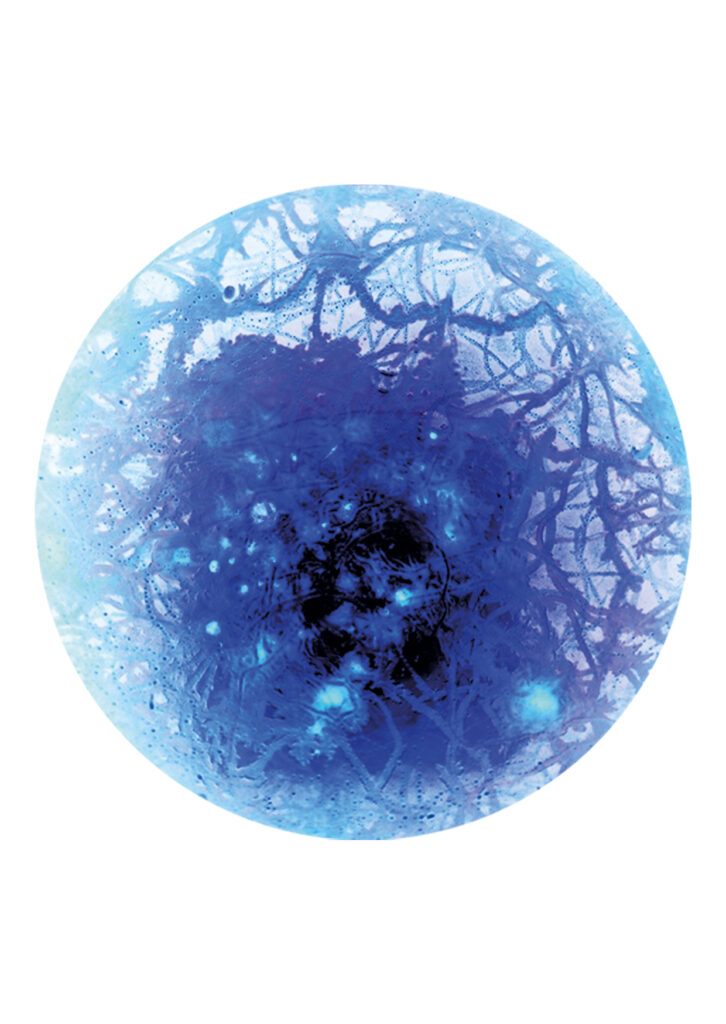 Flourish and Fungi III Inverted by Lianne Regtuit Microbial print 9 Flourish and Fungi III Inverted by Lianne Regtuit Microbial print 9