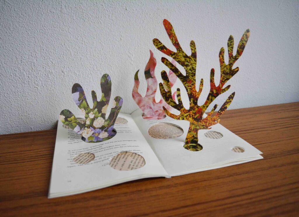 Mixed Media Booklet Collage by Lianne Regtuit Coral 1