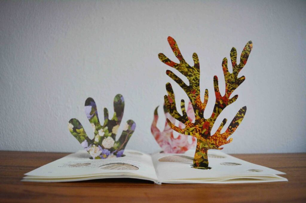 Mixed Media Booklet Collage by Lianne Regtuit Coral 2