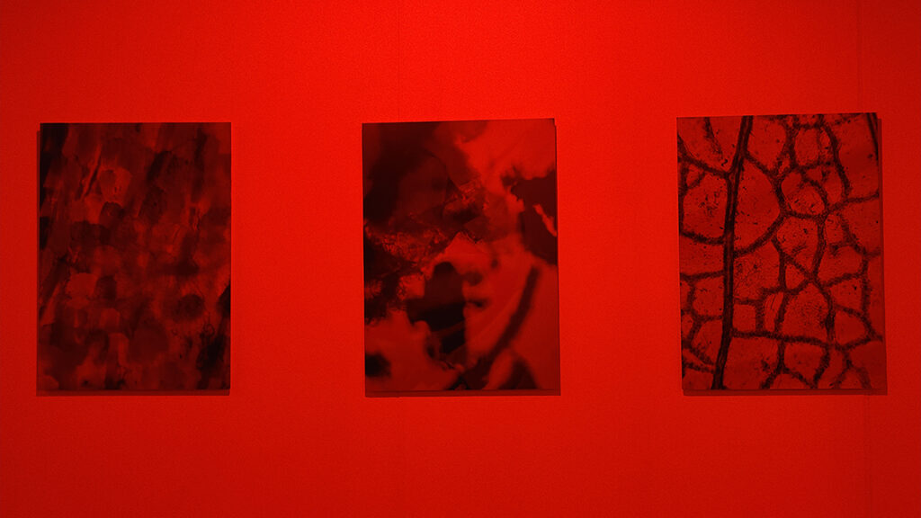 Refracted Realities prints met rode lens