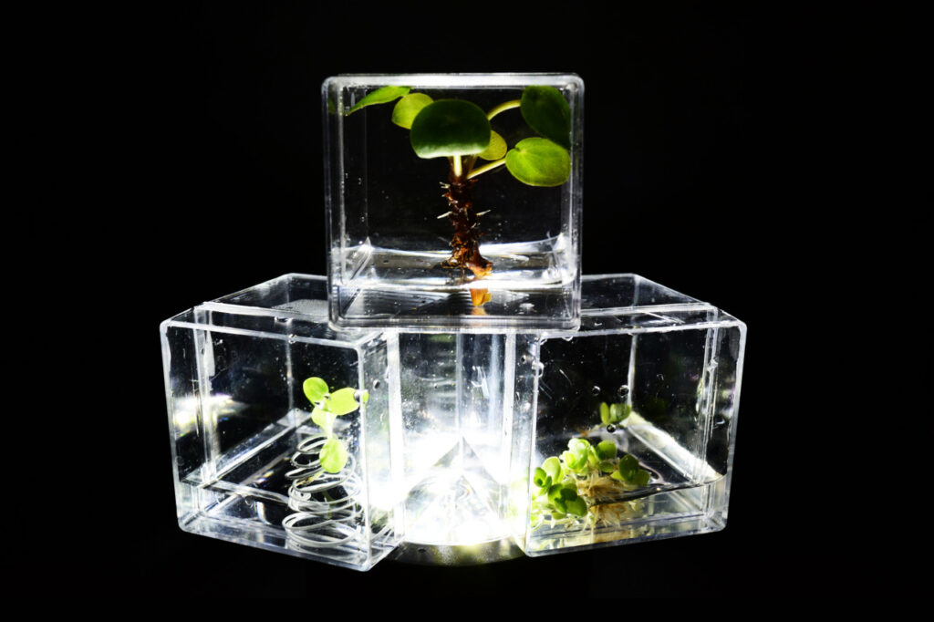 The Living Monument - Hydroponic statue designs by Lianne Regtuit experiment 3