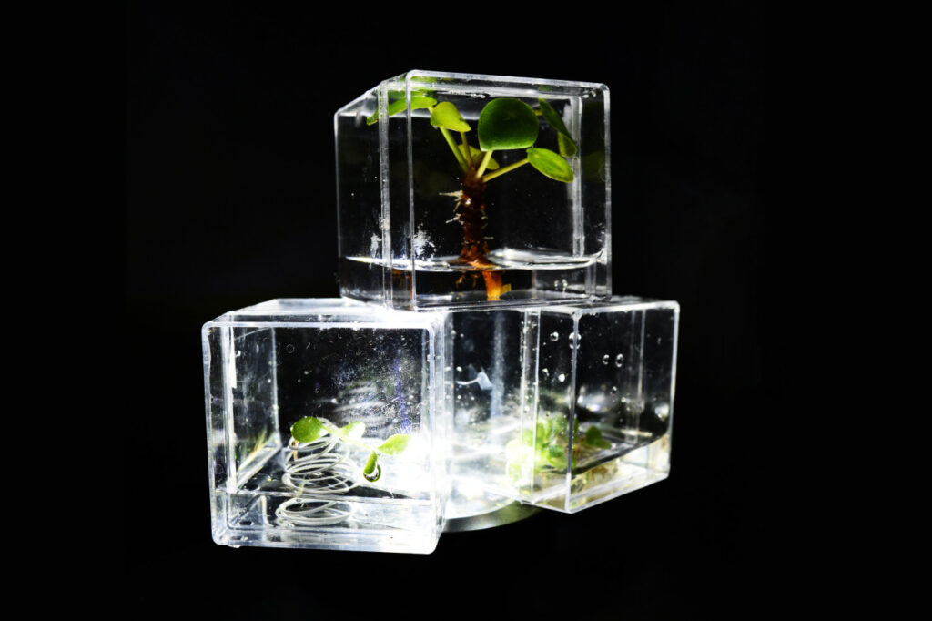 The Living Monument - Hydroponic statue designs by Lianne Regtuit experiment 4