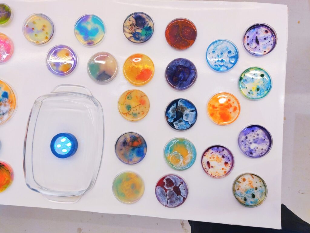 Beautiful Bacteria by Lianne Regtuit overview petri dish designs flat with light