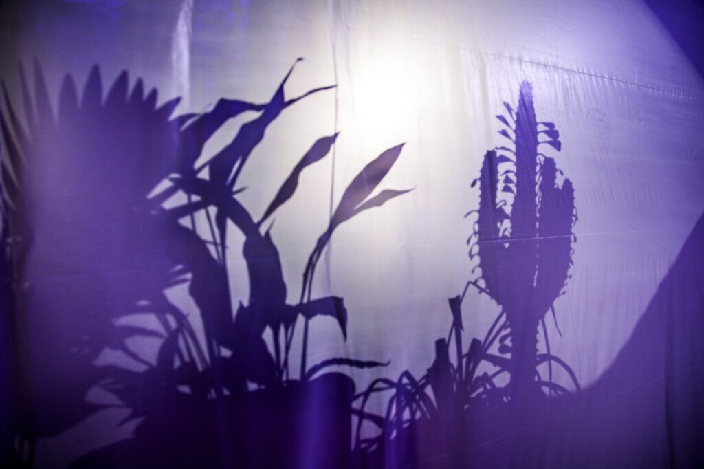 Forest of the Future Time Based performance by Lianne Regtuit Inhale the last piece of nature picture 5 Forest of the Future Time Based performance by Lianne Regtuit Inhale the last piece of nature picture 5