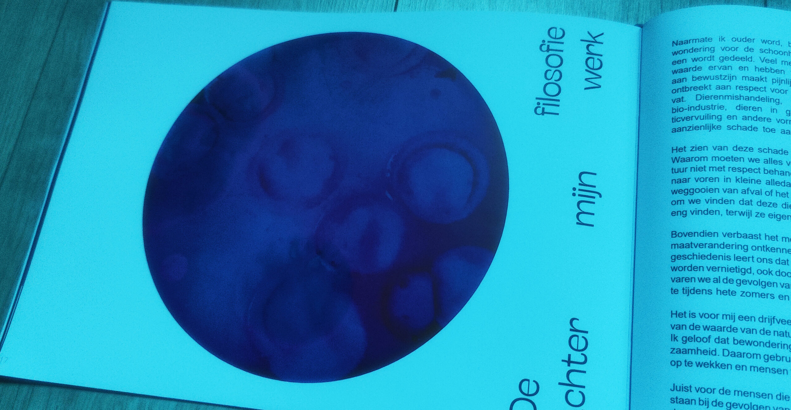 Position Paper by Lianne Regtuit De filosofie achter mijn werk blauw Position Paper by Lianne Regtuit De filosofie achter mijn werk blauw