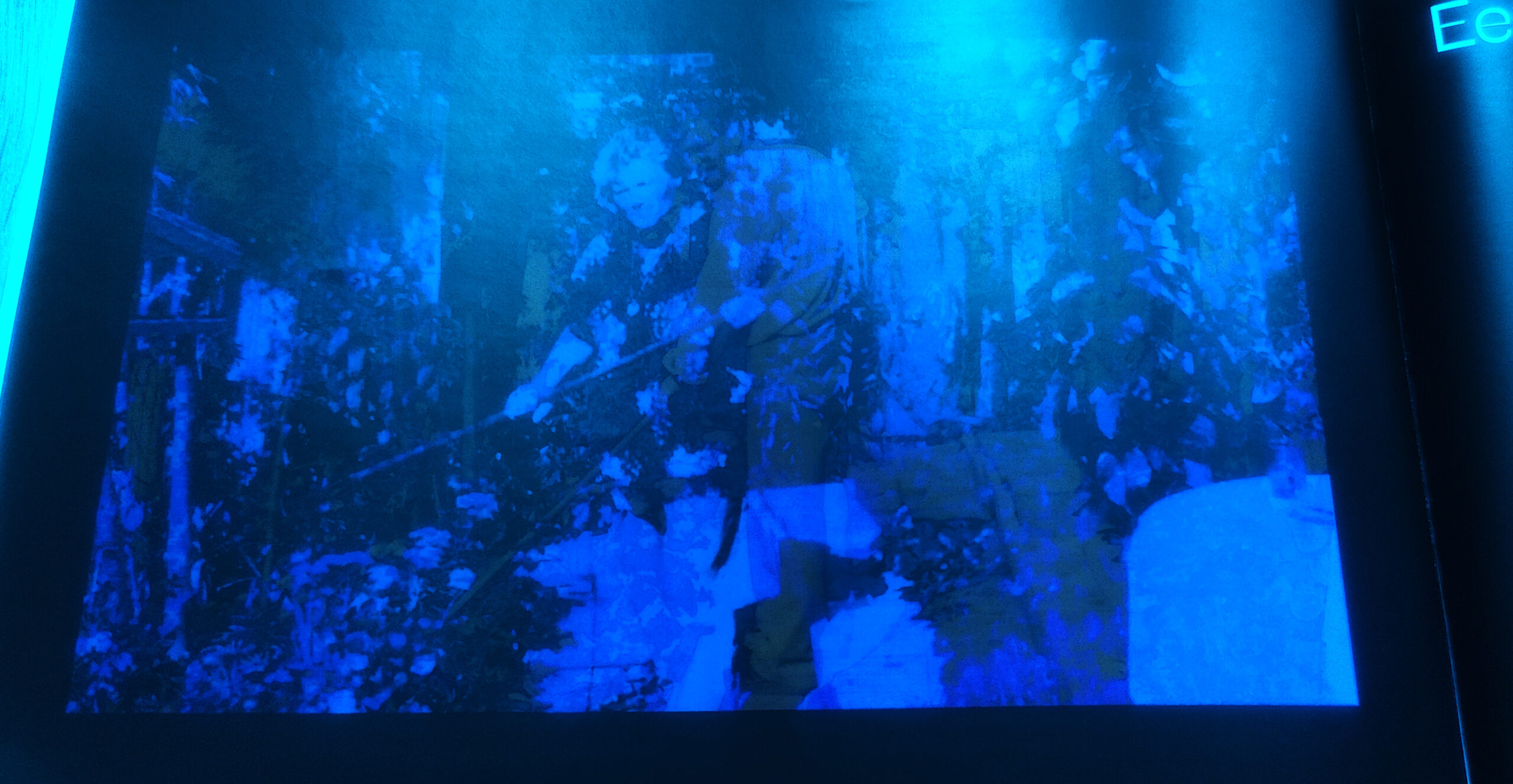 Position Paper by Lianne Regtuit Een gezonde obsessie blauw Position Paper by Lianne Regtuit Een gezonde obsessie blauw