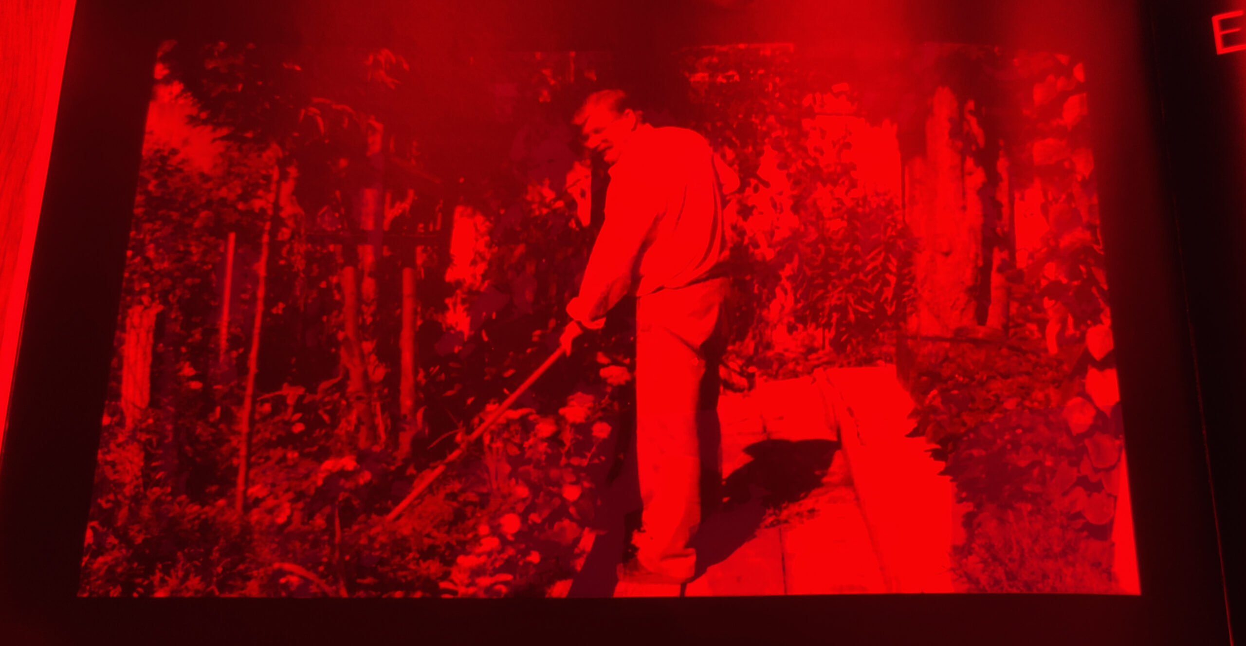 Position Paper by Lianne Regtuit Een gezonde obsessie rood Position Paper by Lianne Regtuit Een gezonde obsessie rood