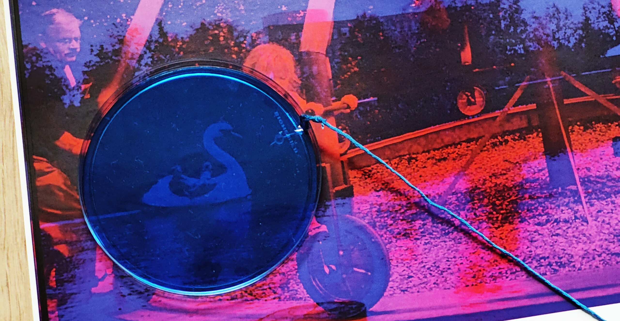 Position Paper by Lianne Regtuit Effect schuin Position Paper by Lianne Regtuit Effect schuin